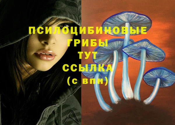 дмт Покров