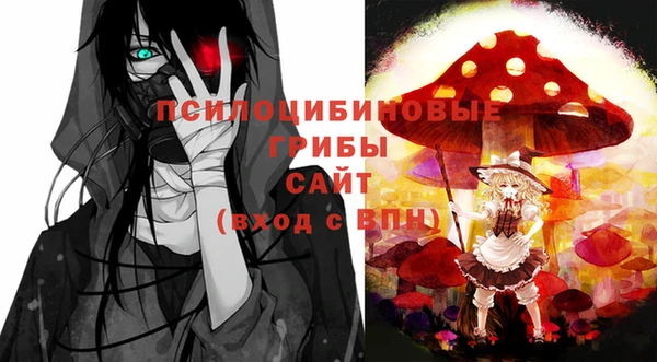 мет Покачи